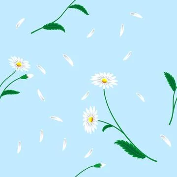 Delicate pattern of white daisies Stock Illustration