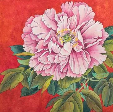 Delicate peony flower Stock Illustration