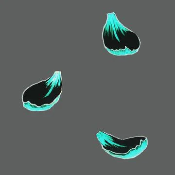 Delicate petals Stock Illustration