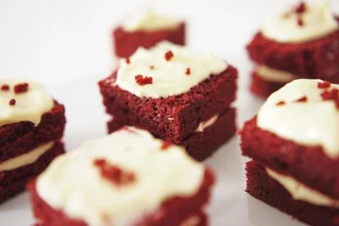 Delicate piece of small chocolate cake Stock Photos