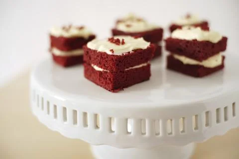Delicate piece of small chocolate cake Stock Photos