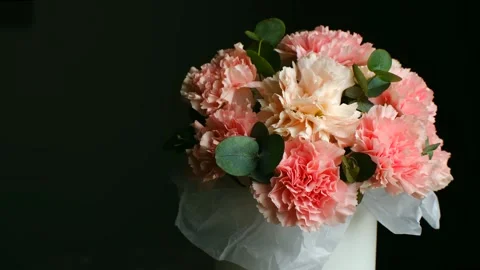 Delicate pink and peach carnations rotating on black background Stock Footage 311153443