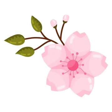 Delicate Pink Cherry Blossom Element Stock Illustration
