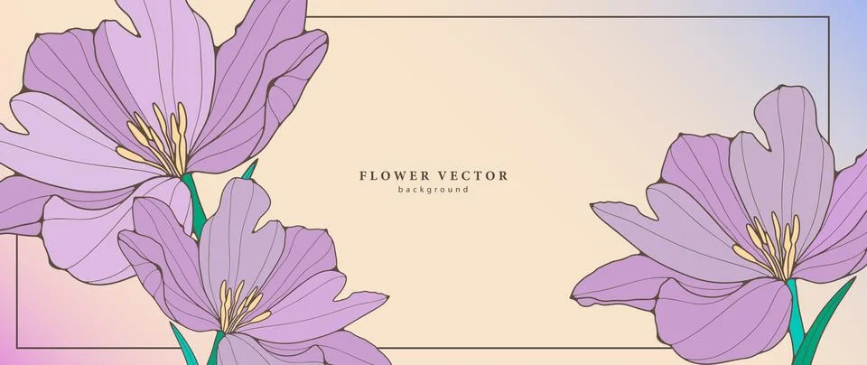 Delicate rainbow flower frame for text or photo. Stock Illustration