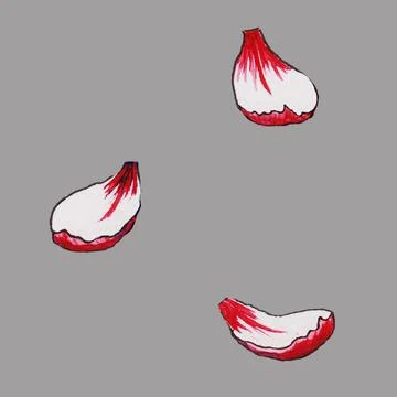 Delicate red flower Stock Illustration