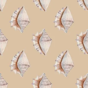 Delicate regular seamless pattern with realistic watercolor sea conchs on pastel Stock Illustration