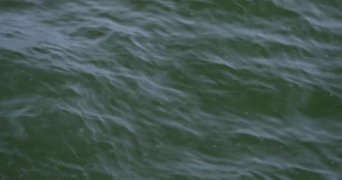 Delicate rhythm of light waves spreads throug h tranquil sea Vídeo Stock 321775648