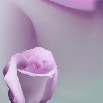 Delicate romantic background with pink rose 库存插图