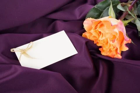 Delicate rose on a delicate silk Stock Photos