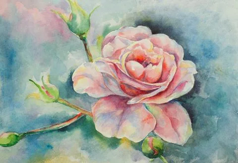 Delicate rose flower Stock Illustration