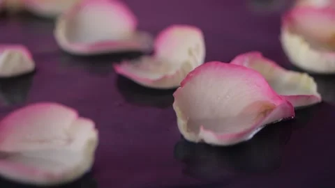 Delicate rose petals float gently on water in slow motion as droplets fall,.. 스톡 동영상 302797833