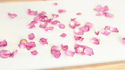 Delicate rose petals scattered on table as more petals fall Stock Footage 331512639