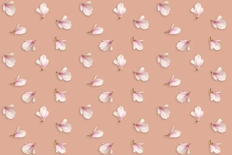 Delicate seamless background, natural pattern with pink magnolia buds, spring Stock Photos