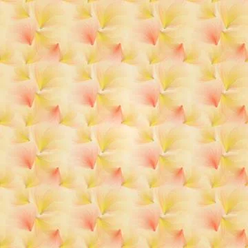 Delicate seamless flowers Stock Illustration