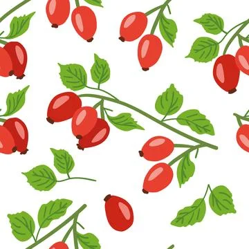 A delicate seamless pattern featuring vibrant rosehips and lush green leaves Stock Illustration