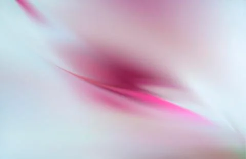 Delicate silk background rose on gray Illustrazione stock