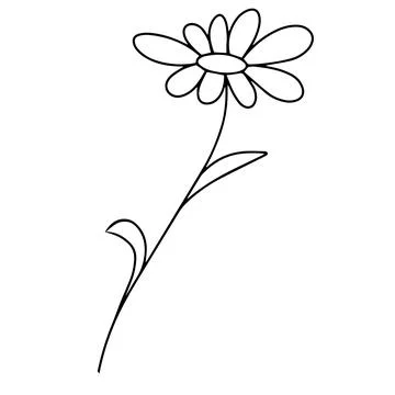 Delicate sketch of a spring flower. Vector illustration in hand drawn style Illustrazione stock