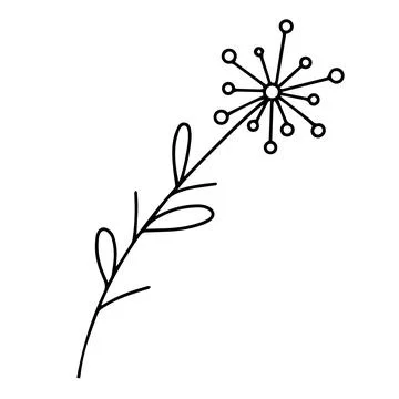 Delicate sketch of a spring flower. Vector illustration in hand drawn style Stock Illustration