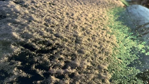 Delicate snow covering a car – texture of fluffy snow Stock Footage 301085306