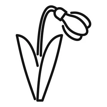 Delicate snowdrop flower blooming in springtime line art Stock Illustration