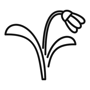 Delicate snowdrop flower growing with stem and leaves Stock Illustration