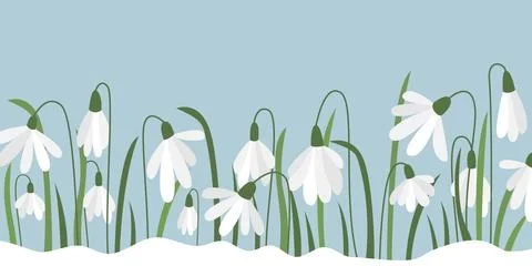 Delicate snowdrops break through the snow Stock Illustration