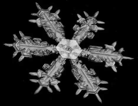  A delicate snowflake with intricate patterns stands out sharply against a... 스톡 사진