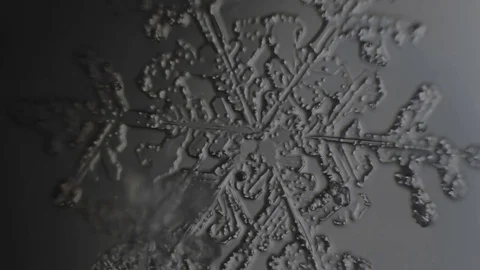 Delicate snowflake melts Stock Footage 72777299