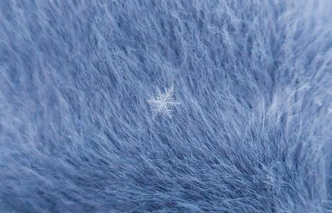 Delicate Snowflake Resting on Soft Blue Fur Background Stock Photos