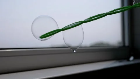 Delicate Soap Bubbles Popping on a Pipe Cleaner Stock Footage 317563942