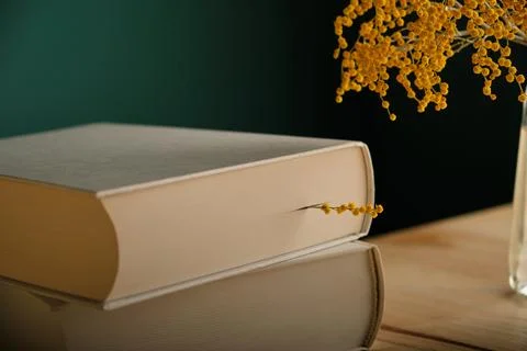 A delicate sprig of bright yellow spring mimosa is used as a bookmark in a th Stock Photos