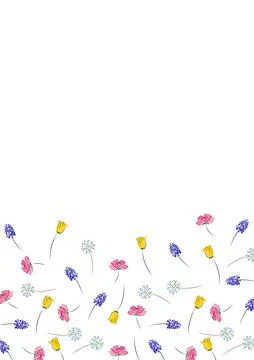 Delicate Spring Flowers Scattered on White Background, Space for Text Above Stock Illustration
