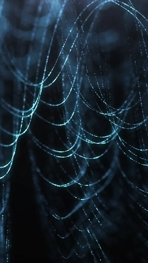 Delicate strands of a spider web glisten under a soft blue light Stock Footage 312694791
