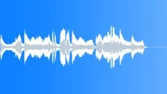 Delicate String Solo 30 second edit Stock Music
