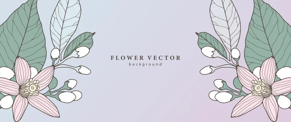 Delicate summer floral vector background with pale pink flowers Stock Illustration