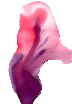 Delicate translucent flower similar to a flame in crimson-purple gradient Illustrazione stock