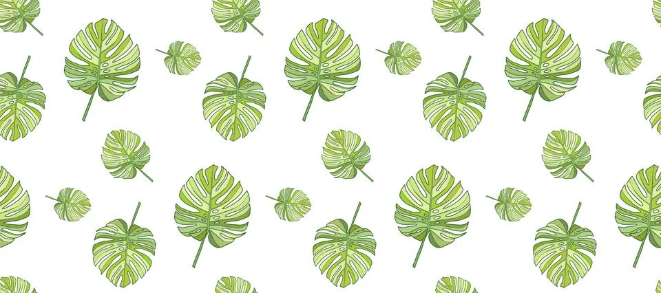 Delicate tropical seamless pattern with green monstera leaves Stock Illustration