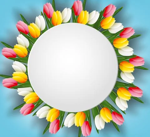 Delicate tulips on a blue background1 Illustrazione stock