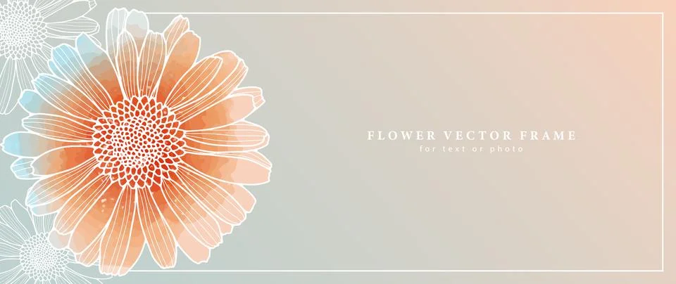 Delicate vector floral background with orange calendula. Stock Illustration