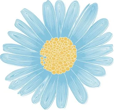 Delicate vector linear pattern of daisy flower Stock Illustration
