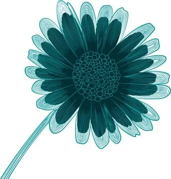 Delicate vector linear pattern of daisy flower Stock Illustration