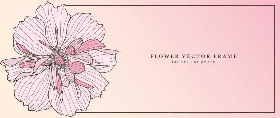 Delicate vector pink floral background with lush flower. Stock Illustration