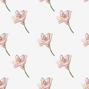 Delicate watercolor lilies pattern in soft hues for textile and wrapping ap.. Stock Illustration