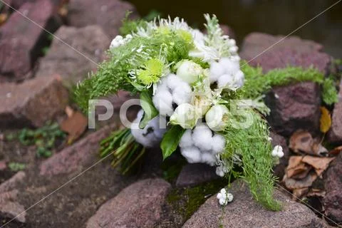 Delicate wedding bridal bouquet with cotton. floral arrangement of flowers Stock Photos