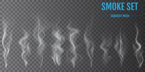 Delicate white cigarette smoke waves on transparent background. Vector illust Stock Illustration