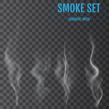 Delicate white cigarette smoke waves on transparent background. Vector illust Stock Illustration