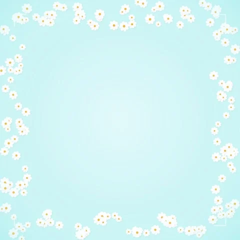 Delicate White Daisy Flowers Frame on Soft Blue Gradient Background Stock Footage 346283359