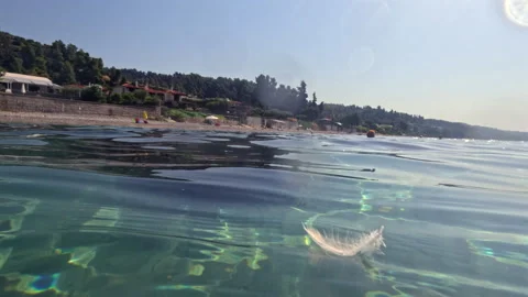 Delicate white feather floating on calm water surface Stock Footage 321059992