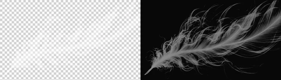Delicate white feather shape formed by wispy smoke particles for ethereal c.. Stock Illustration