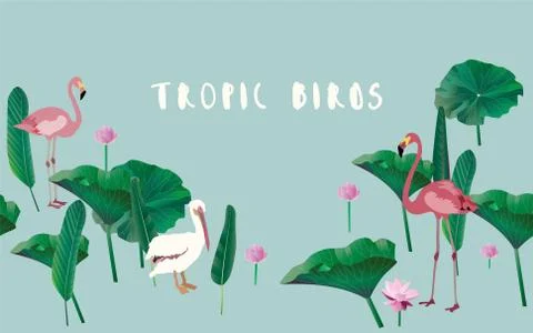 Delicate white pelikan, two pink flamingo, palm tree leaves and inflorescence Stock Illustration